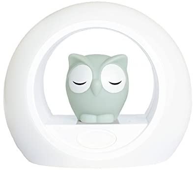 Zazu Kids Voice Activated Nightlight Lamp – Grey Owl Lou